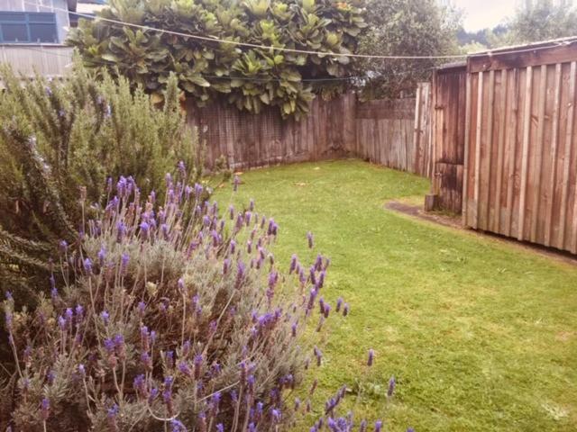 Mollies Place - Waihi Beach Holiday Unit Luaran gambar
